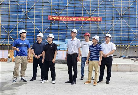 賴海標(biāo)、何勇赴浙江項目調(diào)研指導(dǎo)