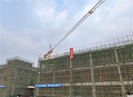 【奮戰(zhàn)一季度·沖刺開(kāi)門(mén)紅】冶建桂南分公司承建項(xiàng)目主體封頂