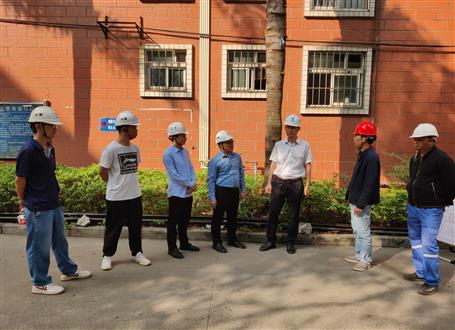 何勇、韋克雪到柳州市城市更新項目進行調研指導工作